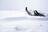 County gets first significant snowfall of the season