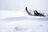 County gets first significant snowfall of the season County gets first significant snowfall of the season
