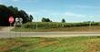 Blue Grass Stockyards coming to Albany Blue Grass Stockyards coming to Albany
