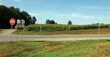 Blue Grass Stockyards coming to Albany Blue Grass Stockyards coming to Albany