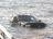 Officials pull vehicle and trailer from lake