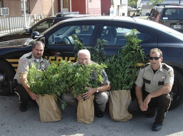 Local law officials discover marijuana in field in Parnell
