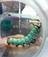 Unusual Worm